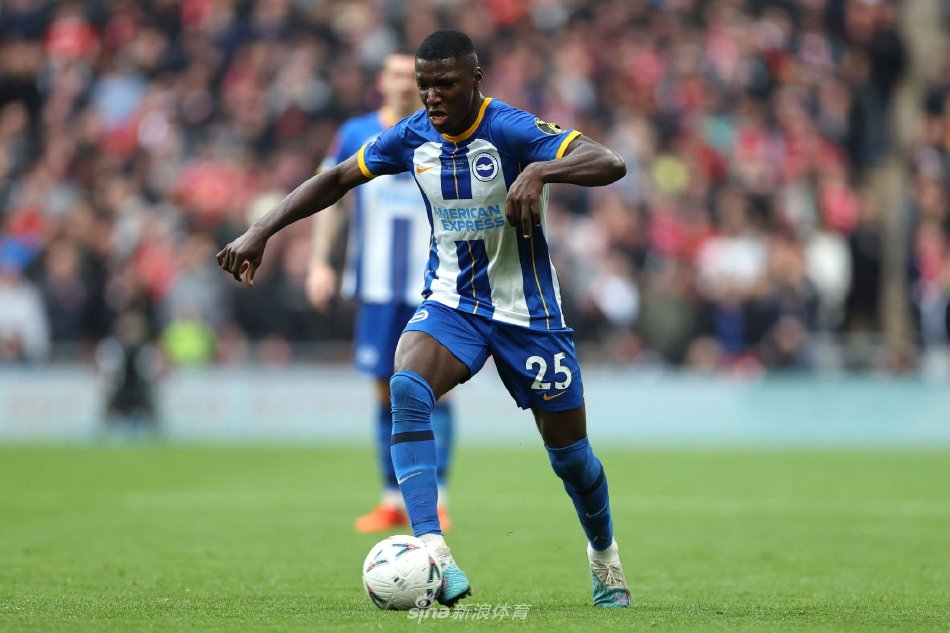 也为国内篮 也为国内篮